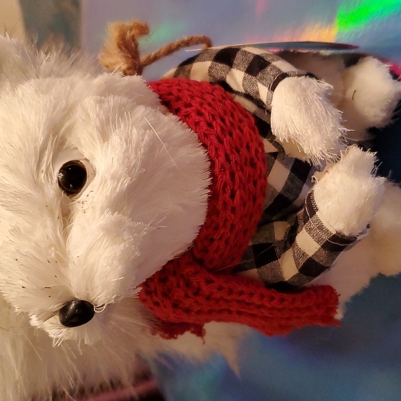 White squirrel - Picture 5 of 5